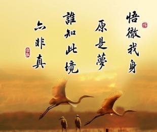 扶阳理路（三）
