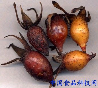 金樱子、枸杞子各15克,狗肉500克,精盐、料酒、花椒各适量。炖肉煮汤食用。具补肾壮阳、强筋健骨、固精涩肠、缩尿止带之功用。适于肾虚、尿频、遗精、阳痿、早泄、脚软及老人多尿等症。
